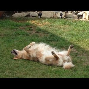 Meet your Posher, Tracy